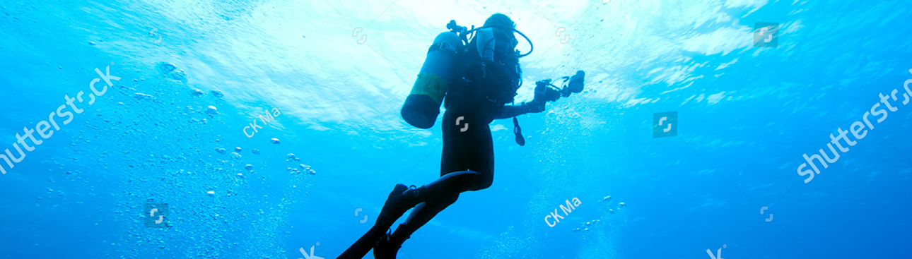 PRICE ADJUSTMENTS ON LATEX SEALS