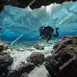 A FEW PRICE CHANGES ON MCNETT PRODUCTS